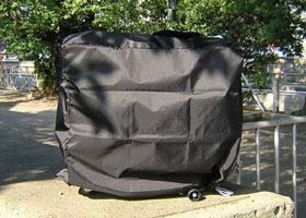 bag11