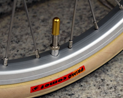 IKD Special Raw Color Model