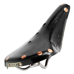 BROOKS Saddles B17 Special Titanium