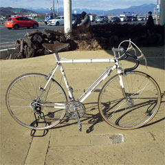 uPEUGEOT Vintage Bike Usedv̊gʐ^