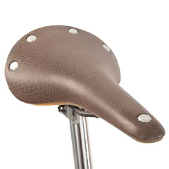 BROOKS Cambium C17 Special Barbour X Brompton