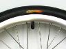 Greenspeed Scorcher Tyre 16 x 1 1/2